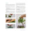 Literati Style Penjing: Chinese Bonsai Masterworks 9