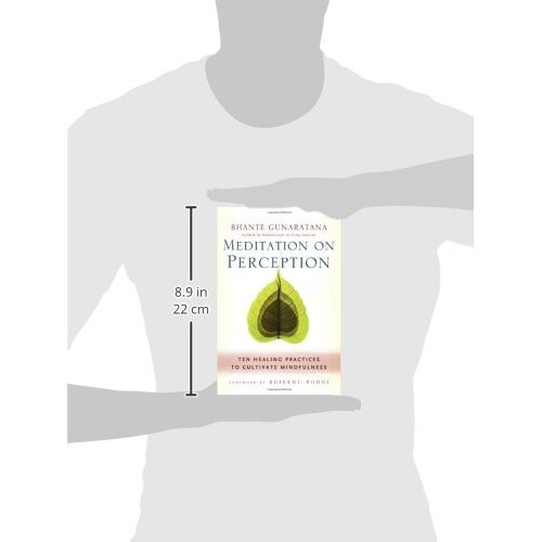Meditation on Perception: Ten Healing Practices to Cultivate Mindfulness 2