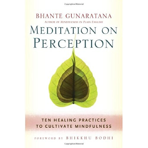 Meditation on Perception: Ten Healing Practices to Cultivate Mindfulness