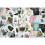 Flower Box: 100 Postcards by 10 artists 3