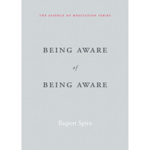 Being Aware of Being Aware: The Essence of Meditation, Volume 1