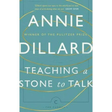 Teaching a Stone to Talk: Expeditions and Encounters (Canons)