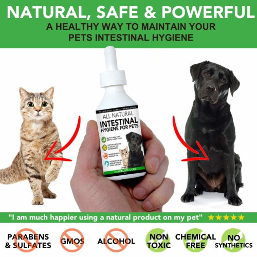 All Natural Worming Treatment for Dogs and Cats Easier Than Tablets