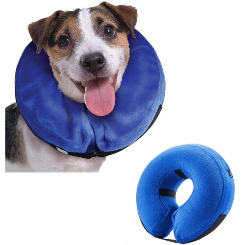 Best Dog Collar For Large Dogs Dog Collar For Large Dogs Xncooy K9