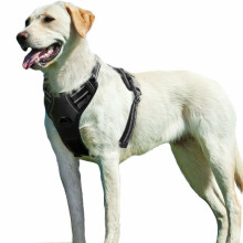 No Pull Dog Harness Large Black, Front Clip Vest Harness Dog Car Harnessses with Handle Puppy Chest Padded Adjustable Reflective Breathable Mesh...