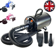 Gravitis 2800W Stepless Speed Dog Cat Pet Grooming Hair Dryer Hairdryer Blaster Blower (Black)