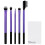 Real Techniques 6pc Real Techniques Enhanced Eye Set | Cruelty-Free Eyeshadow Brush Set 3