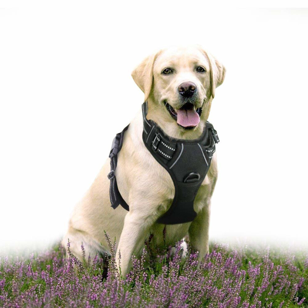 No pull dog harness for large dogs best sale