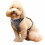Rabbitgoo No Pull Dog Harness Small, Front Loading Pet Vest Harness with Handle Strong Adjustable Dog Padded Harness Reflective Mesh Lightweight... 1