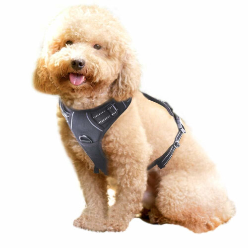 Rabbitgoo No Pull Dog Harness Small, Front Loading Pet Vest Harness with Handle Strong Adjustable Dog Padded Harness Reflective Mesh Lightweight...