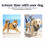 Rabbitgoo No Pull Dog Harness Small, Front Loading Pet Vest Harness with Handle Strong Adjustable Dog Padded Harness Reflective Mesh Lightweight... 7