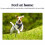 Rabbitgoo No Pull Dog Harness Small, Front Loading Pet Vest Harness with Handle Strong Adjustable Dog Padded Harness Reflective Mesh Lightweight... 6