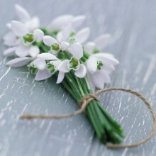 Sympathy Card - (GBCC1599) - 'Bunch of Snowdrops' by James Guilliam