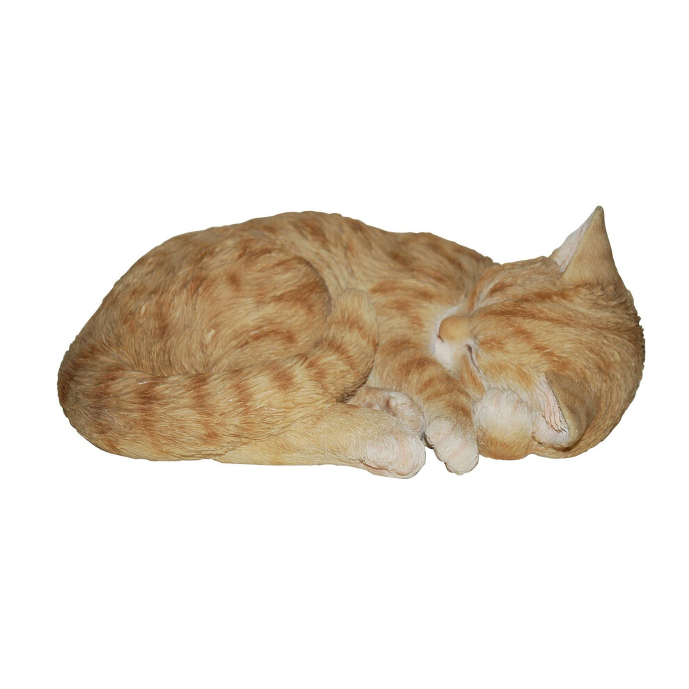 Vivid-Arts Vivid Arts Ginger Size B Real Life Sleeping Cat
