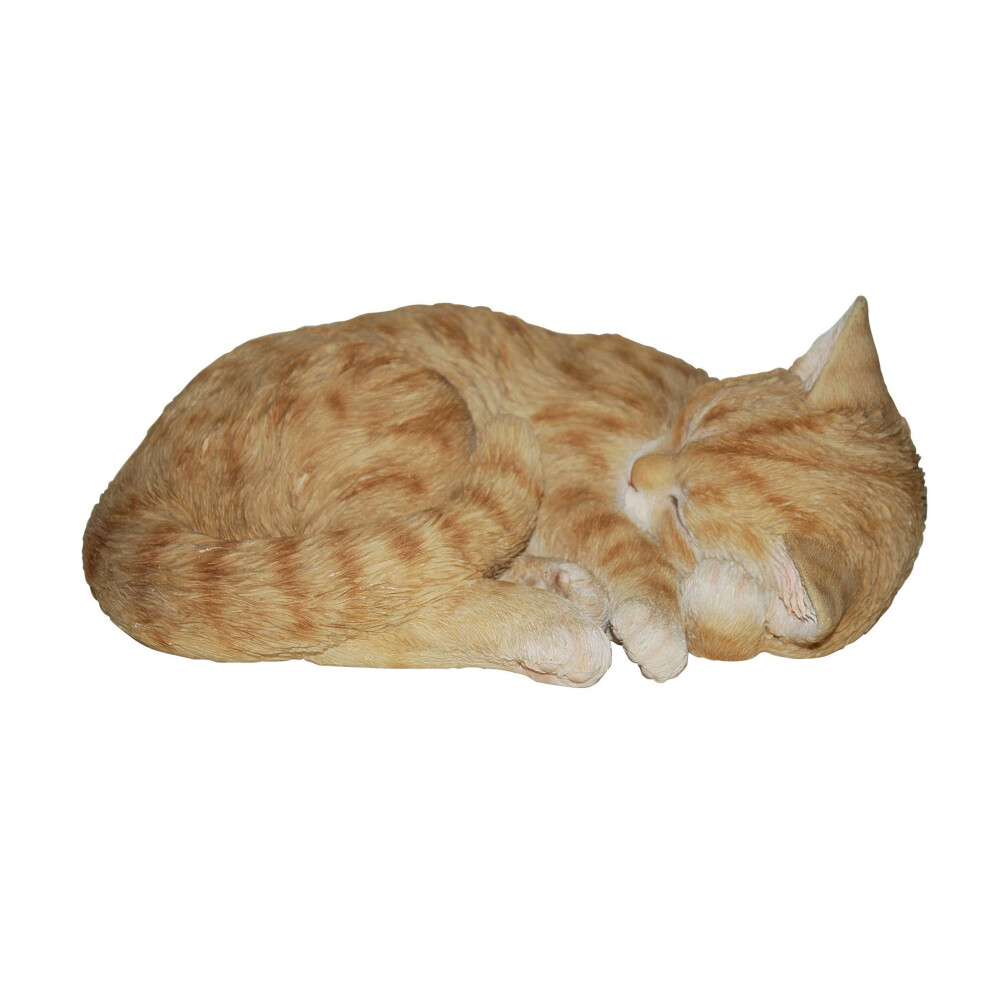 Vivid Arts Ginger Size B Real Life Sleeping Cat