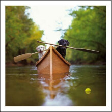 Woodmansterne Blank / Birthday Greeting Card - Labradors In A Boat (9776)