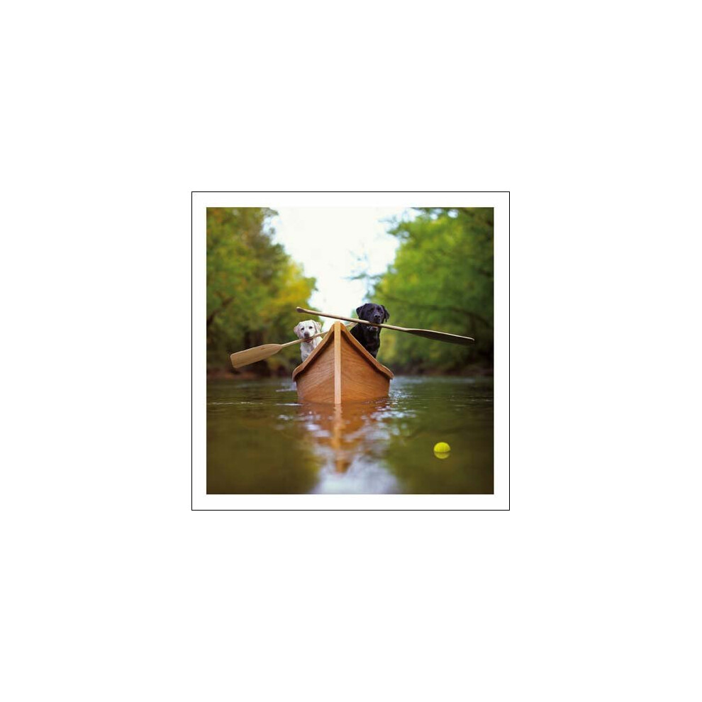 Woodmansterne Blank / Birthday Greeting Card - Labradors In A Boat (9776)