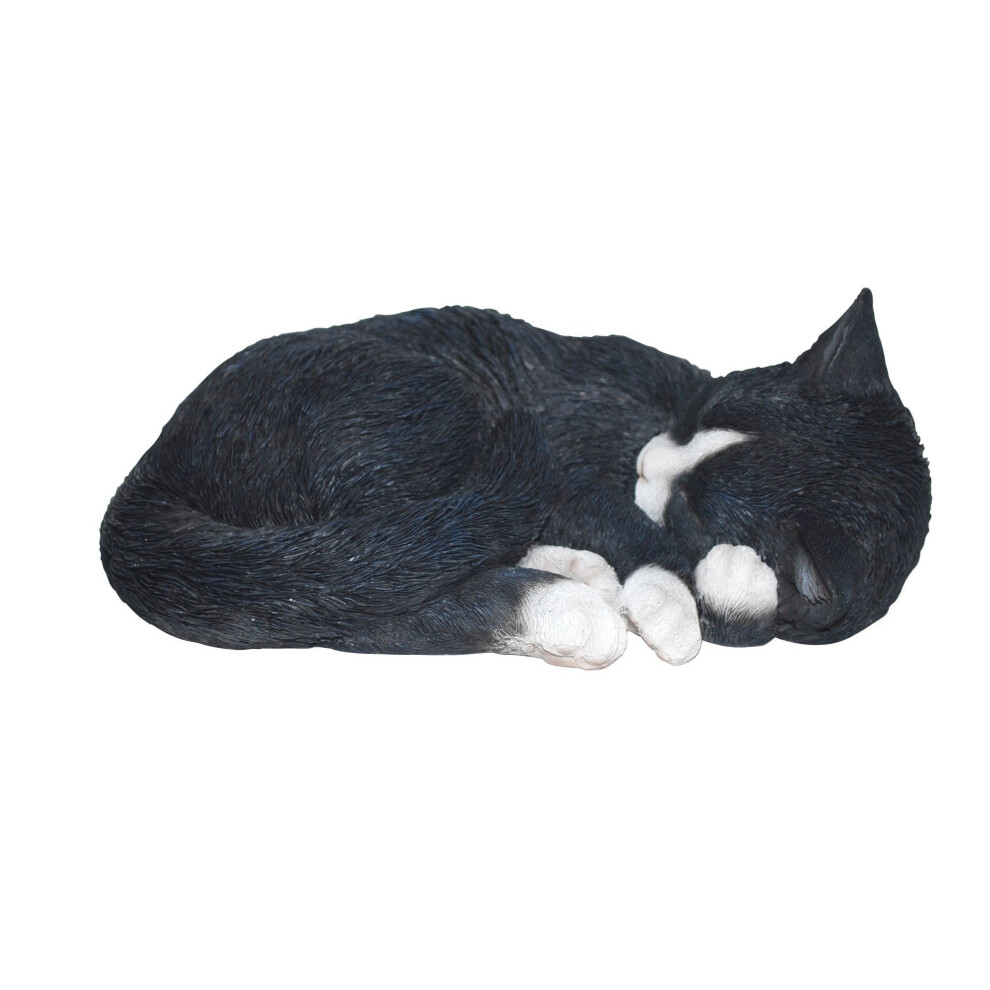 Vivid Arts Size B Real Life Sleeping Cat - Black/ White