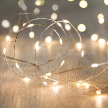 Lights4fun Battery Operated Fairy Lights with 20 Micro Warm White LEDs on Silver Wire by