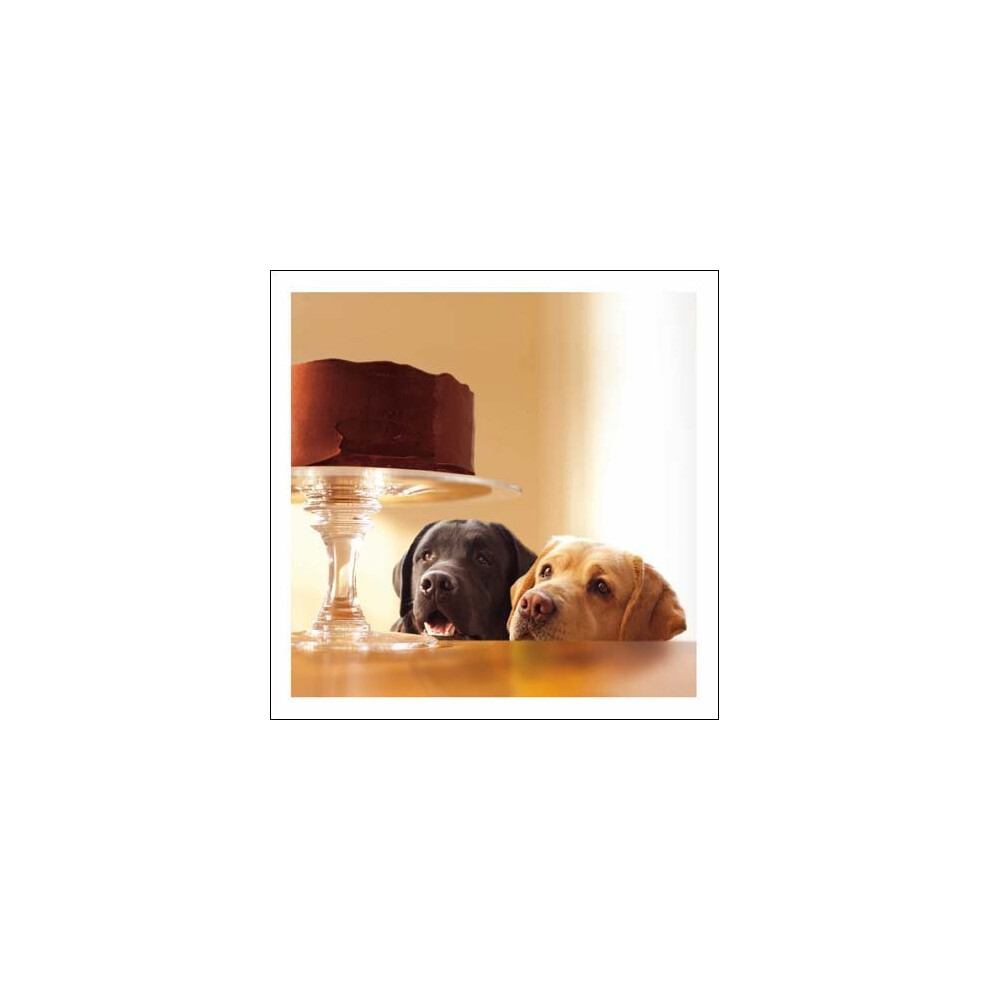 Woodmansterne Blank / Birthday Card - Two Labradors - Forbidden Treasure