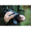 Vanguard Vanguard Endeavor ED 8x42 Waterproof Binoculars with Case 7