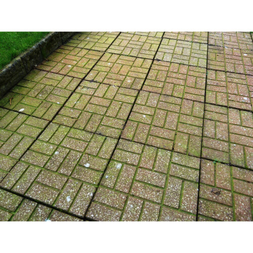 Algon 20L Organic Path and Patio Cleaner Concentrate Drum 2