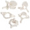 3B Scientific Human Anatomy - 5 Vertebrae Models 1
