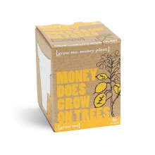 Gift Republic Ltd Grow Me Money Does Grow On Trees