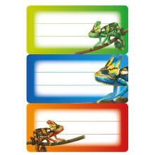 Herma 5876 Name Labels for School Stapler, Gecko Motif 3 x 3.5 cm, Inhalt: 9 Labels