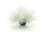 Biorb biOrb Sea Lily, White 1