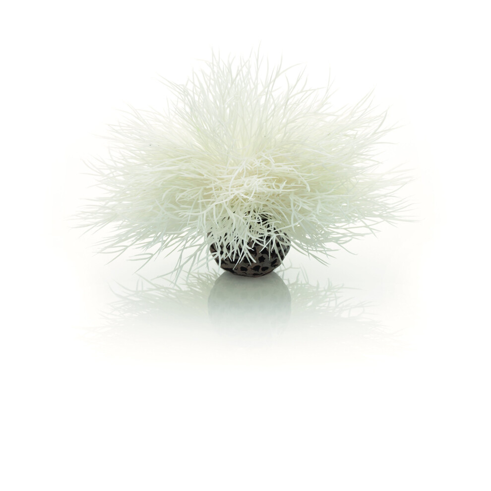 Biorb Sea Lily, White