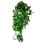 Komodo Komodo Philodendron Plant, 40 cm 1