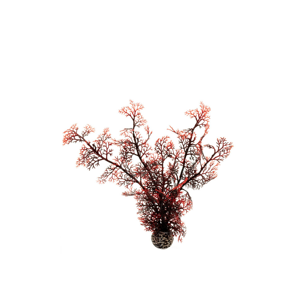 Biorb Sea Fan, Medium, Crimson