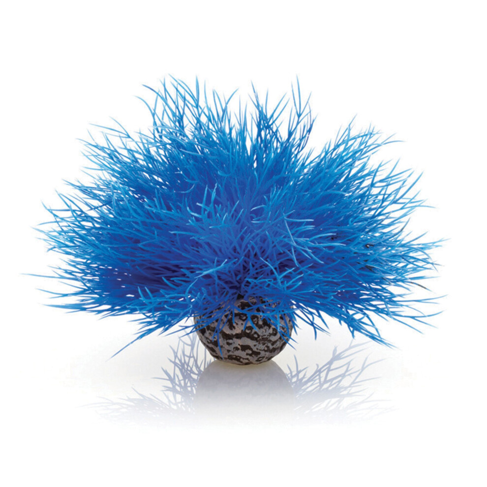 Biorb Sea Lily, Blue