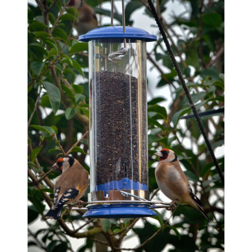 Peckish Peckish Nyjer Bird Seed for Wild Birds, 2 kg 1