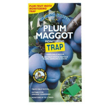 Growing Success Plum Maggot Monitoring Trap