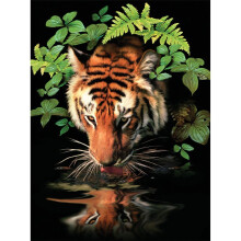 Royal & Langnickel 11 x 15 inch Thirsty Tiger Pre-Printed Paint by Number Painting Set