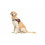 Julius-K9 Dog Harness | Size 0 (Red) 4