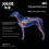 Julius-K9 Dog Harness | Size 0 (Red) 9