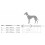 Hunter Hunter Dog Collar Grey Small 4
