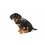 Julius-K9 16IDC-B-M IDC Powerharness, Dog Harness, Size Mini, Blue 6