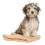 Wahl Wahl Diamond White Pet Shampoo 250 ml ZX609, 2-Pack 3