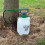 Kingfisher Kingfisher 3L Pump Action Drucksprüher 3