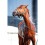 Wahl Wahl Showman Aloe Soothe Shampoo 500 ml 3