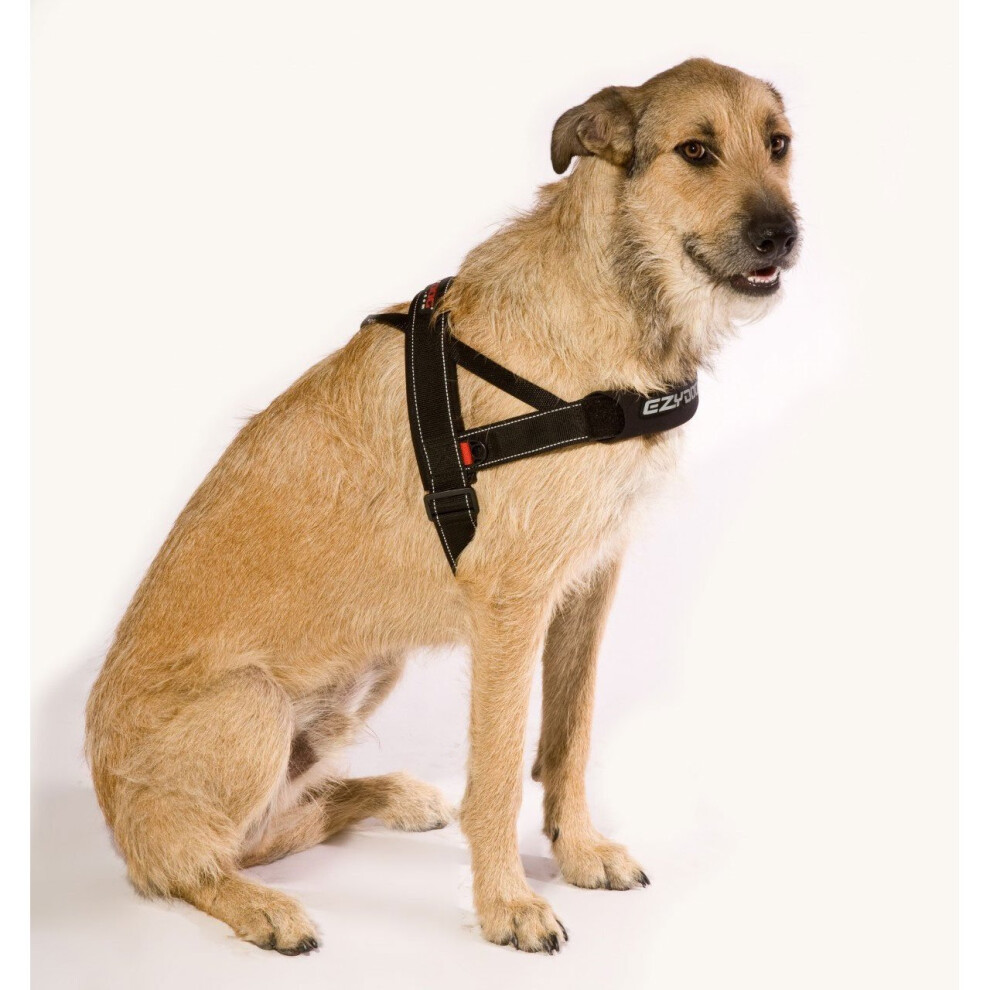 EzyDog Quick Fit Harness Black M on OnBuy