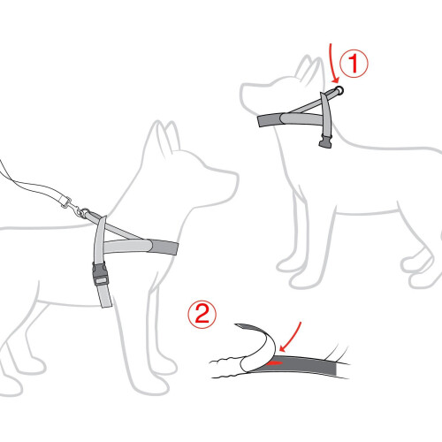 EzyDog Quick Fit Harness Black M 1