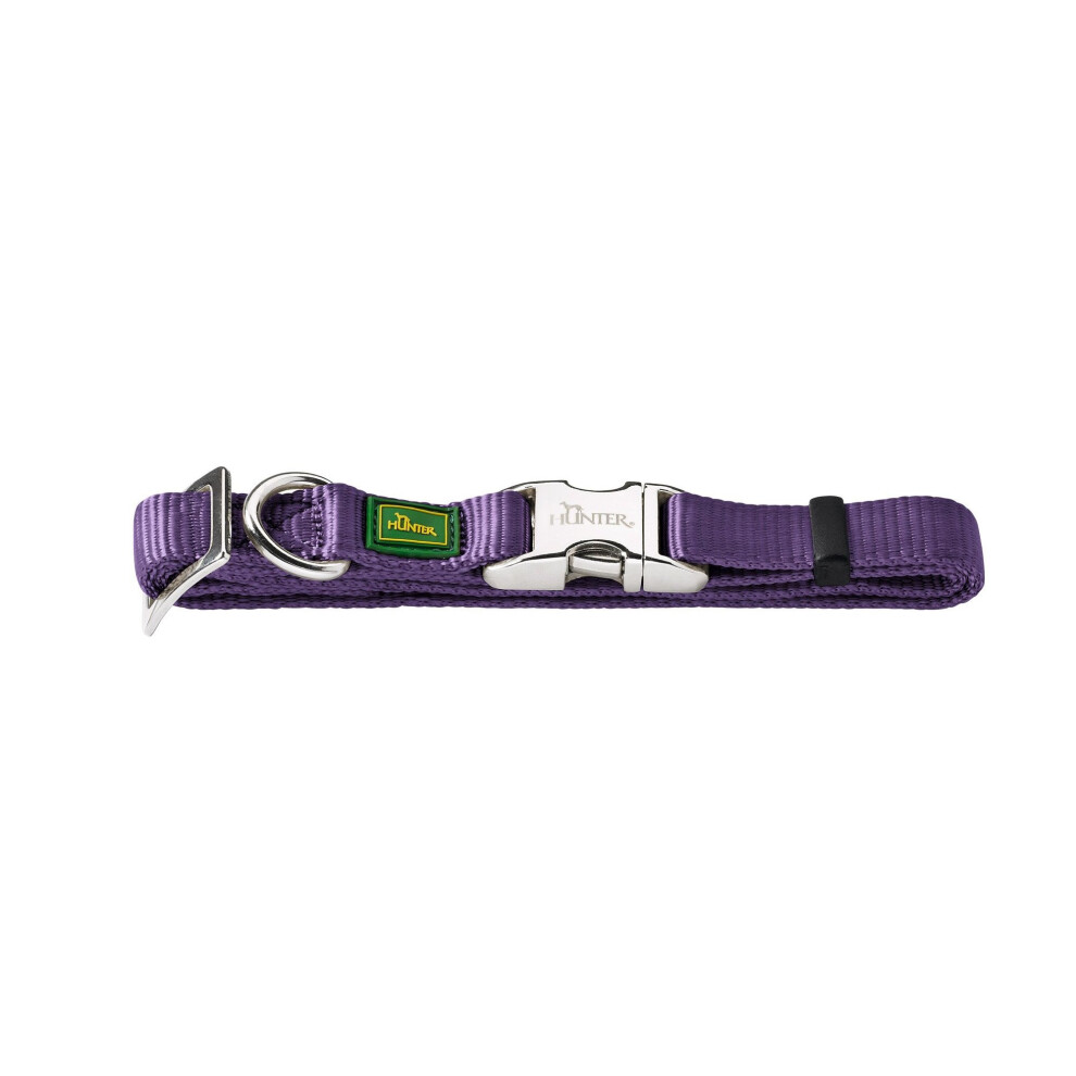 dog collar medium purple