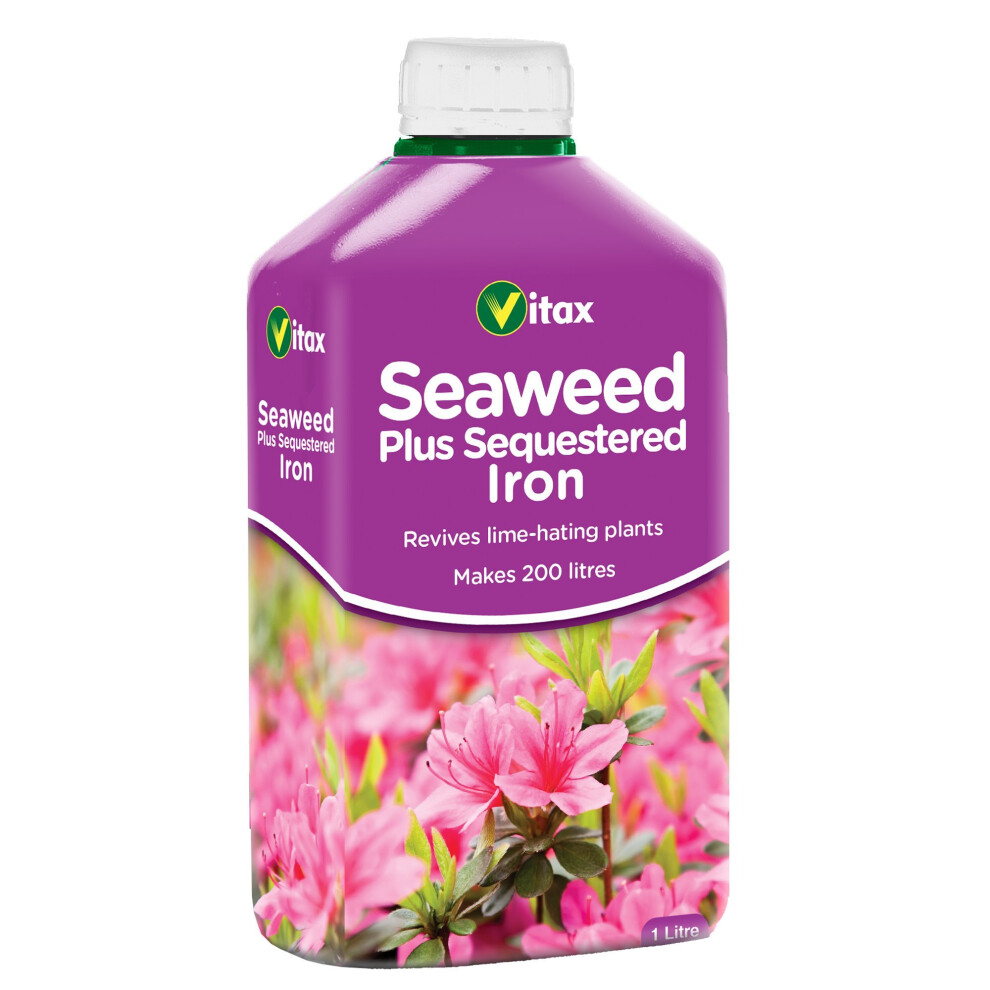 Vitax Seaweed Plus Sequestered Iron 1L - Corrects Iron Deficiency, Prevents Leaf Yellowing, Promotes Healthy Foliage (5SWI1)