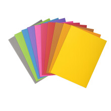 Exacompta 24 x 32 cm Pastel Square Cut Folders 210 g - Green, Pack of 100