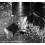 Ruko Terrax Core Drill Bits HSS 16 mm Weldon 5